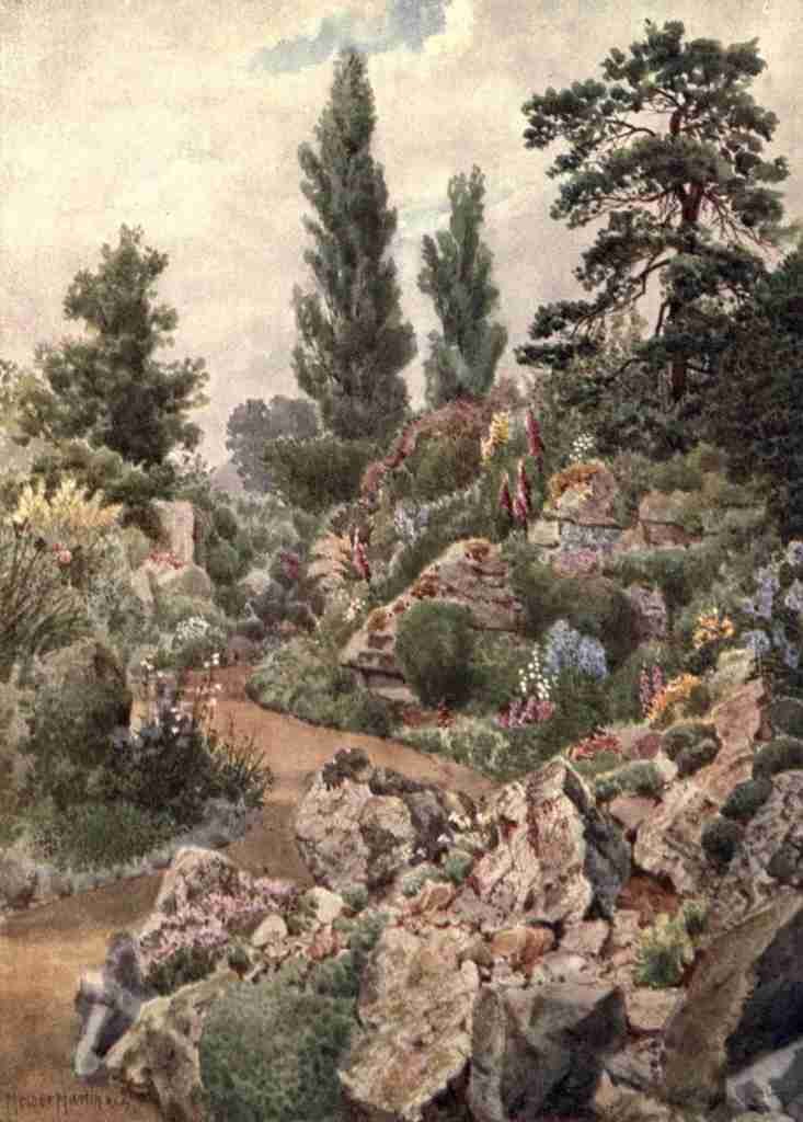 Martin Thomas Mower 1838 1934 Kew Gardens 1908 In the Rock Garden A4 Photo Print