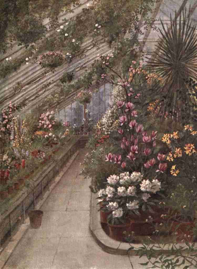 Martin Thomas Mower 1838 1934 Kew Gardens 1908 The Greenhouse A4 Photo Print