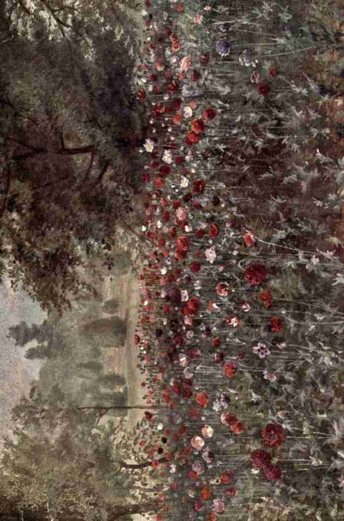 Martin Thomas Mower 1838 1934 Kew Gardens 1908 The Poppy Beds A4 Photo Print