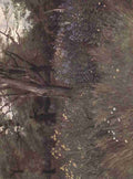 Martin Thomas Mower 1838 1934 Kew Gardens 1908 Wild Flowers in the Beech Woods A4 Photo Print