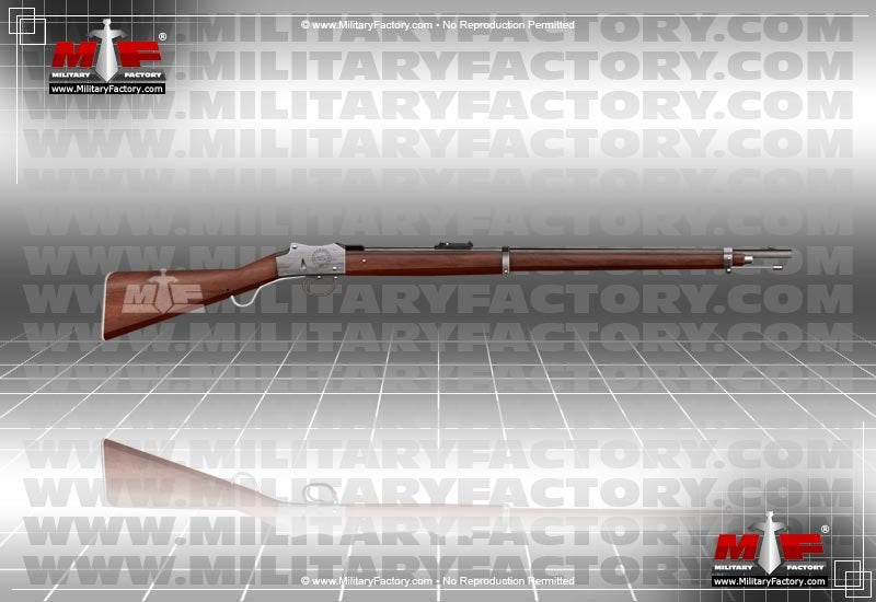 Martini Henry Service Rifle A4 Photo Print