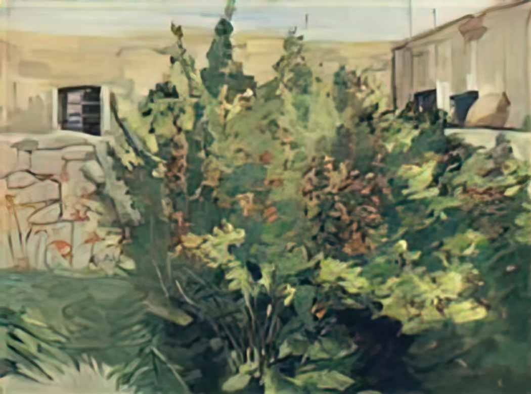 Martiros Sarian flowering garnet 1947 Art A4 Photo Print