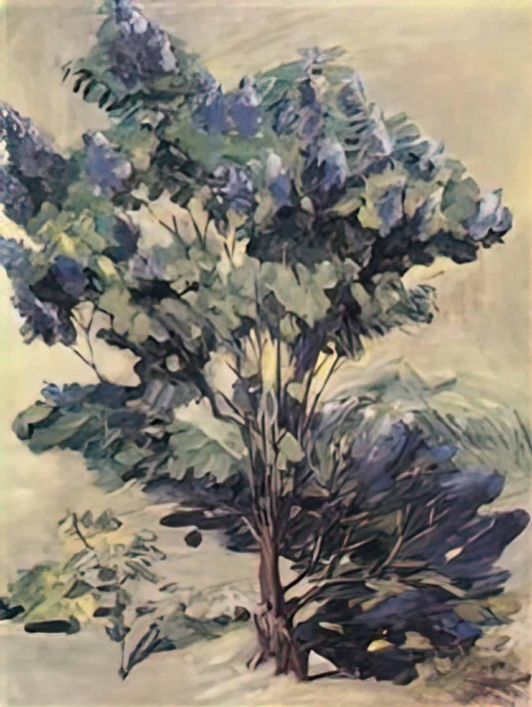 Martiros Sarian lilac 1940 Art A4 Photo Print