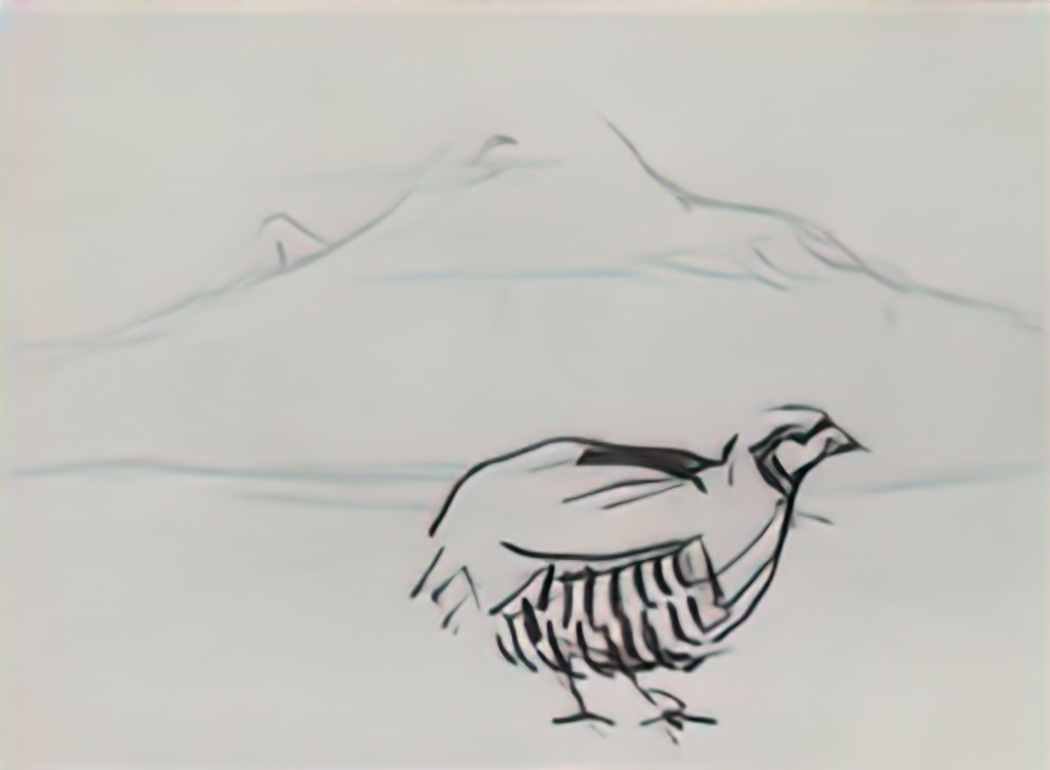 Martiros Sarian partridge 1925 Art A4 Photo Print