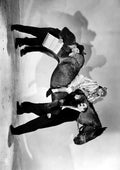 Marx Brothers A Day at the Races 3 A4 Photo Print