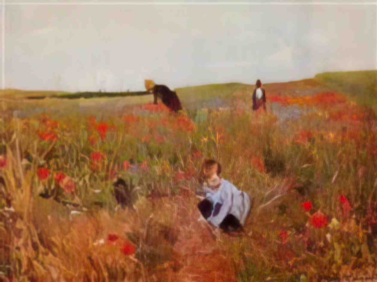Mary Cassatt red poppies 1880 Art A4 Photo Print