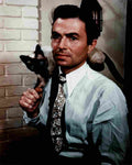 Mason James 1 film star poster A4 Photo Print