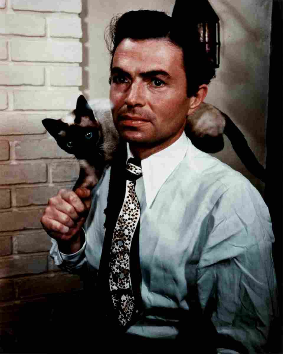 Mason James 1 film star poster A4 Photo Print