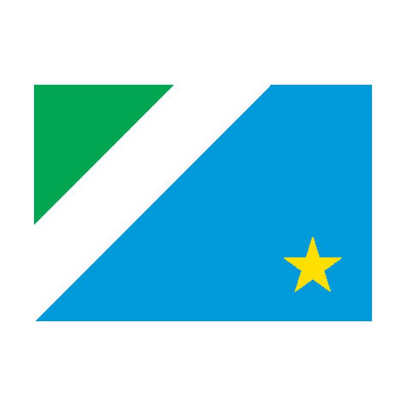 Matogrossodosul State Flag N4803 A4 Photo Print