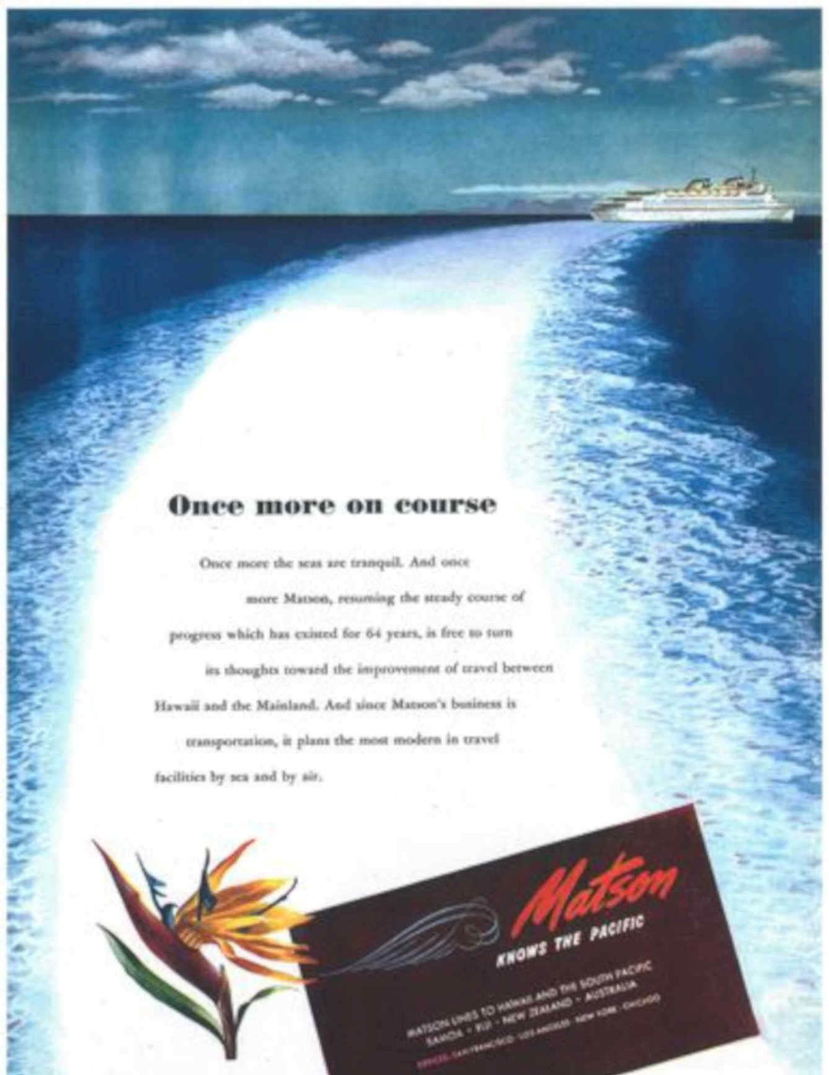 Matsons Pacific Cruise Vintage Retro Advert Poster A4 Photo Print