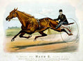 Maud S 2 Horse 001 Vintage A4 Photo Print