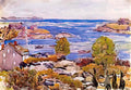 Maurice Prendergast house with flag in the cove Art A4 Photo Print