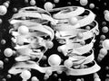 Maurits Cornelis Escher 17 Art A4 Photo Print