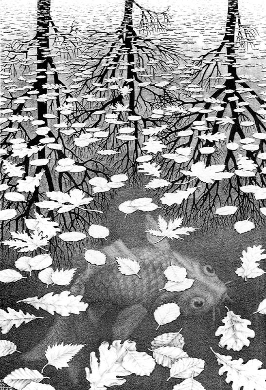 Maurits Cornelis Escher 24 Art A4 Photo Print