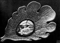 Maurits Cornelis Escher 28 Art A4 Photo Print