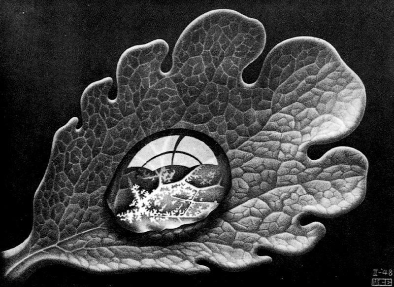 Maurits Cornelis Escher 28 Art A4 Photo Print