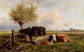 Mauve Anton Resting Cows A4 Photo Print