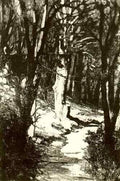 Max Klinger 110  A4 Photo Print