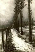 Max Klinger 139  A4 Photo Print