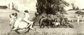 Max Klinger 170  A4 Photo Print