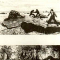 Max Klinger 64  A4 Photo Print