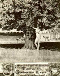 Max Klinger 94  A4 Photo Print