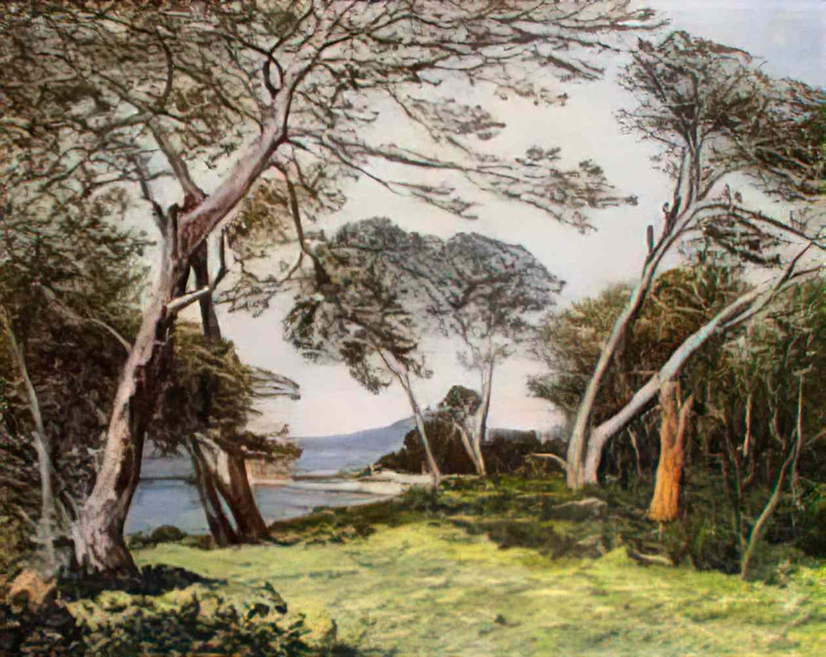 Maxime Maufra the pines of the ile st morah 1912 Art A4 Photo Print