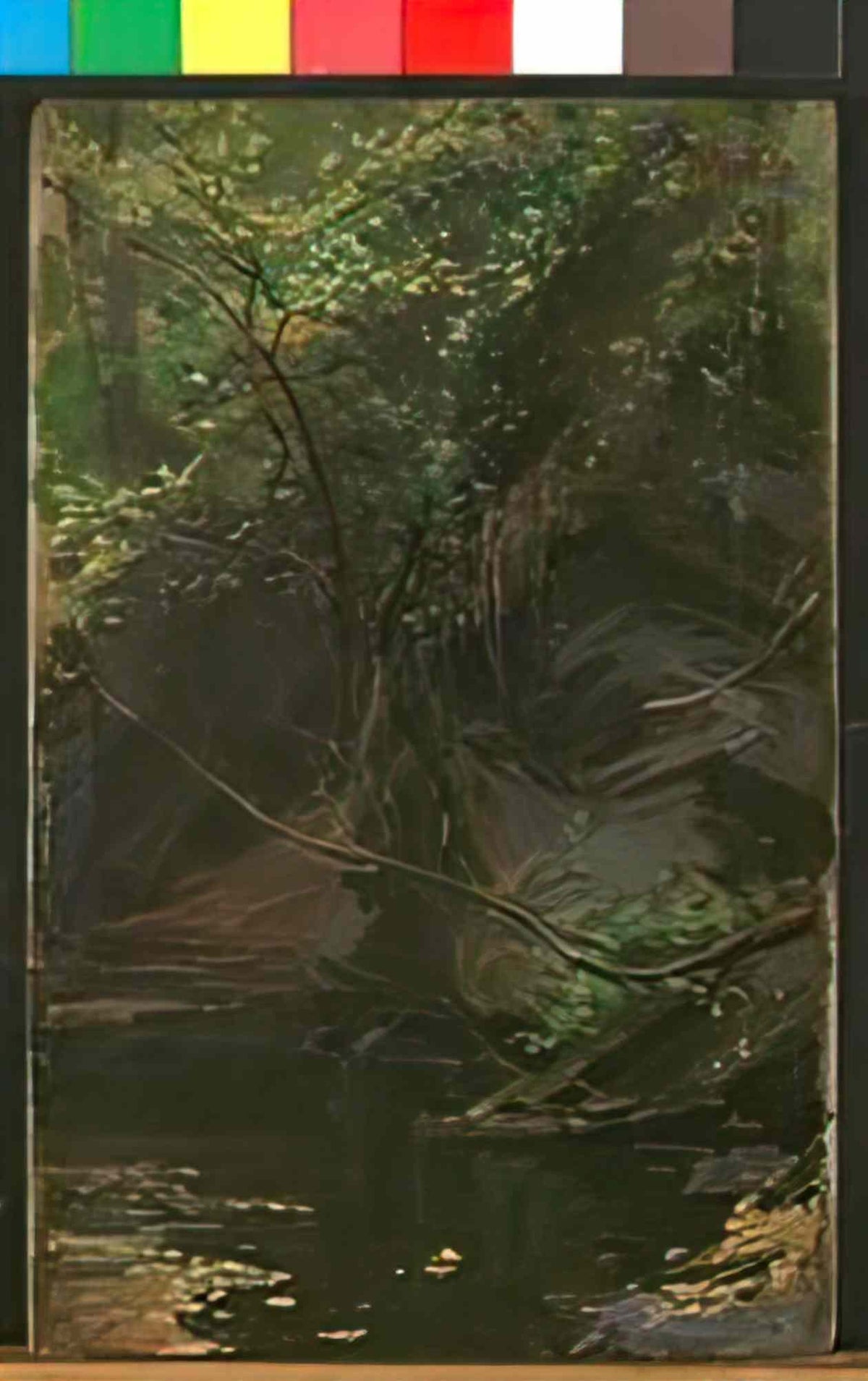 Maximilian Pirner max pirner 1854 1924 tun pod skalou Art A4 Photo Print