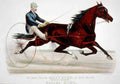 Maxy Cobb Horse 001 Vintage A4 Photo Print