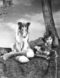 McDowall Roddy Lassie Come Home z1 film star poster A4 Photo Print
