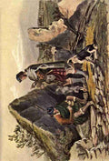 McIan Robert R 1803 1856 McIans Highlanders at Home 1900 Drovers A4 Photo Print