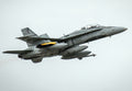 Mcdonnell Douglas Cf18 Hornet Multirole Fighter Royal Canadian Air Force 23 A4 Photo Print