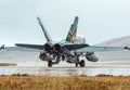 Mcdonnell Douglas Cf18 Hornet Multirole Fighter Royal Canadian Air Force 3 A4 Photo Print
