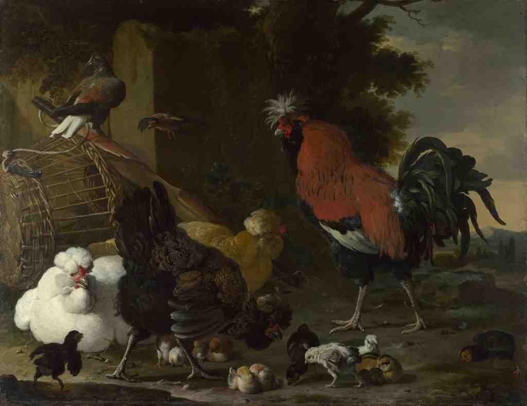 Melchior dHondecoeter A Cock, Hens and Chicks A4 Photo Print