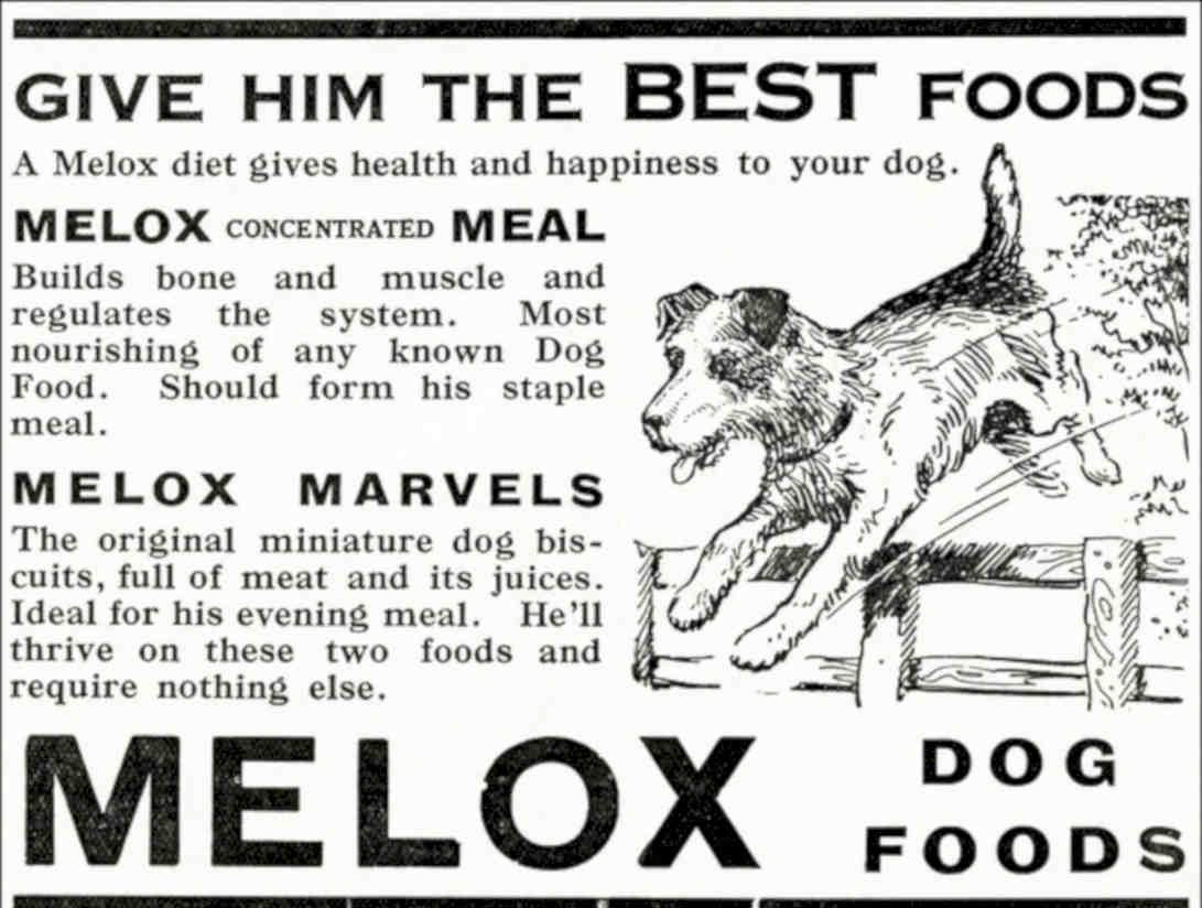 Melox Terrier Foods Vintage Retro Advert Poster A4 Photo Print