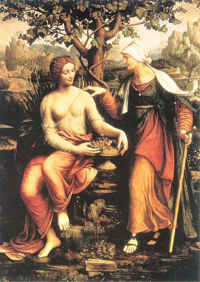 Melzi Francesco Italian 1493 1570 Art A4 Photo Print