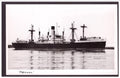 Memnon Blue Funnel Line 1945 Philips Victory Steam ship A4 Photo Print