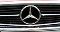 Mercedes  Bonnet 2391 Grille A4 Photo Print