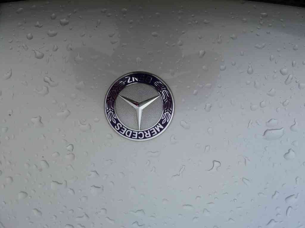 Mercedes  Bonnet 2474 Grille A4 Photo Print