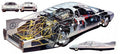MercedesC11 cutaway A4 Photo Print
