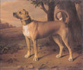 Merck Johann Christof German active 1695 1726 Art A4 Photo Print