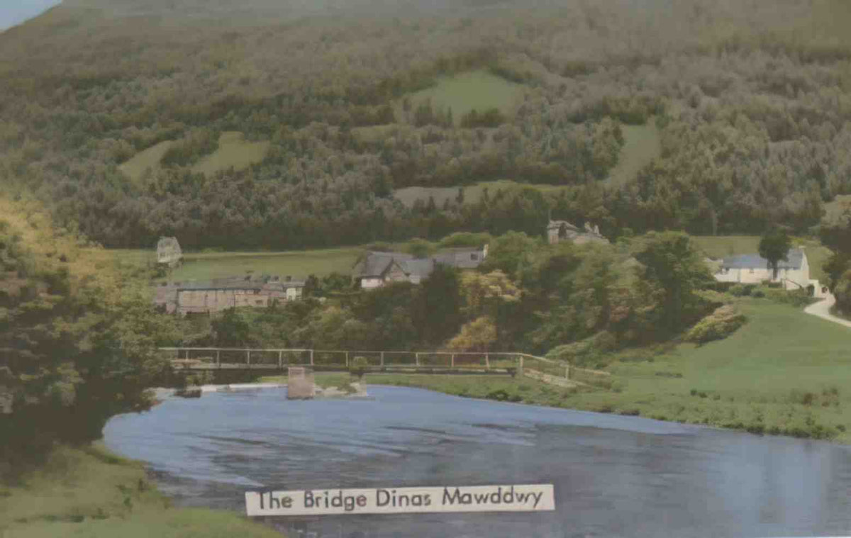 Merionethshire Dinas Mawddwy Bridge Vintage A4 Photo Print