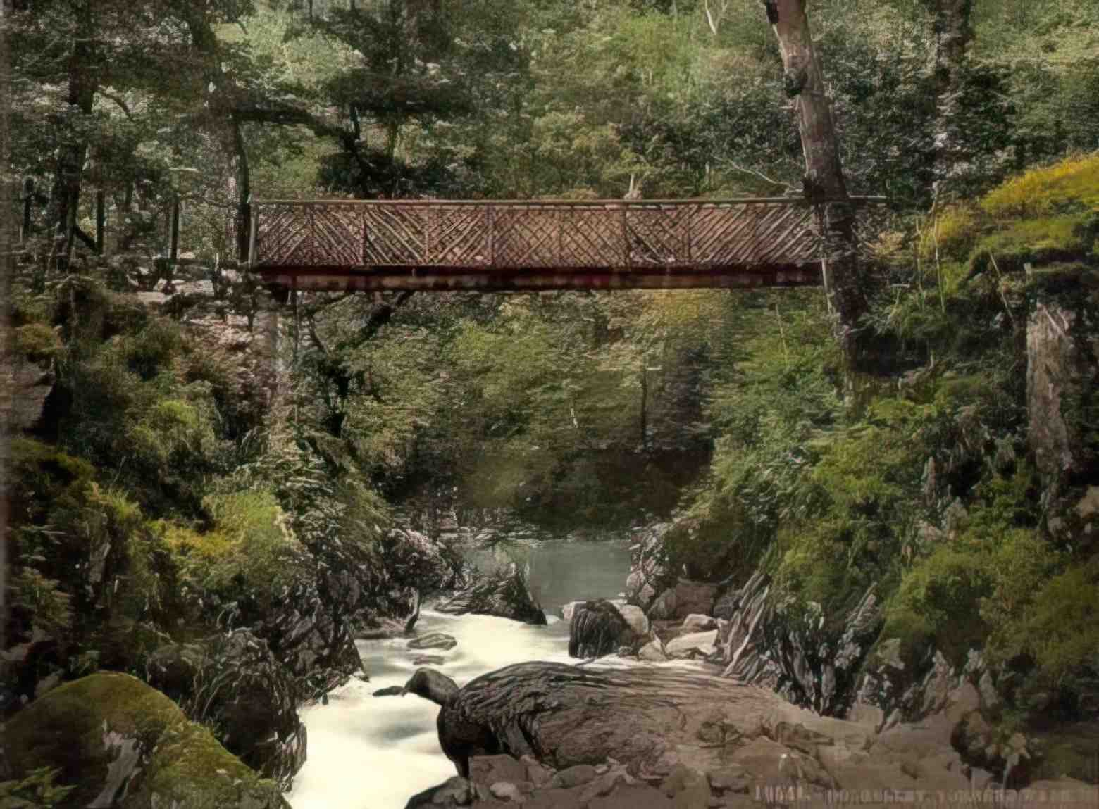 Merionethshire Dolgellau Torrent Walk III Vintage A4 Photo Print