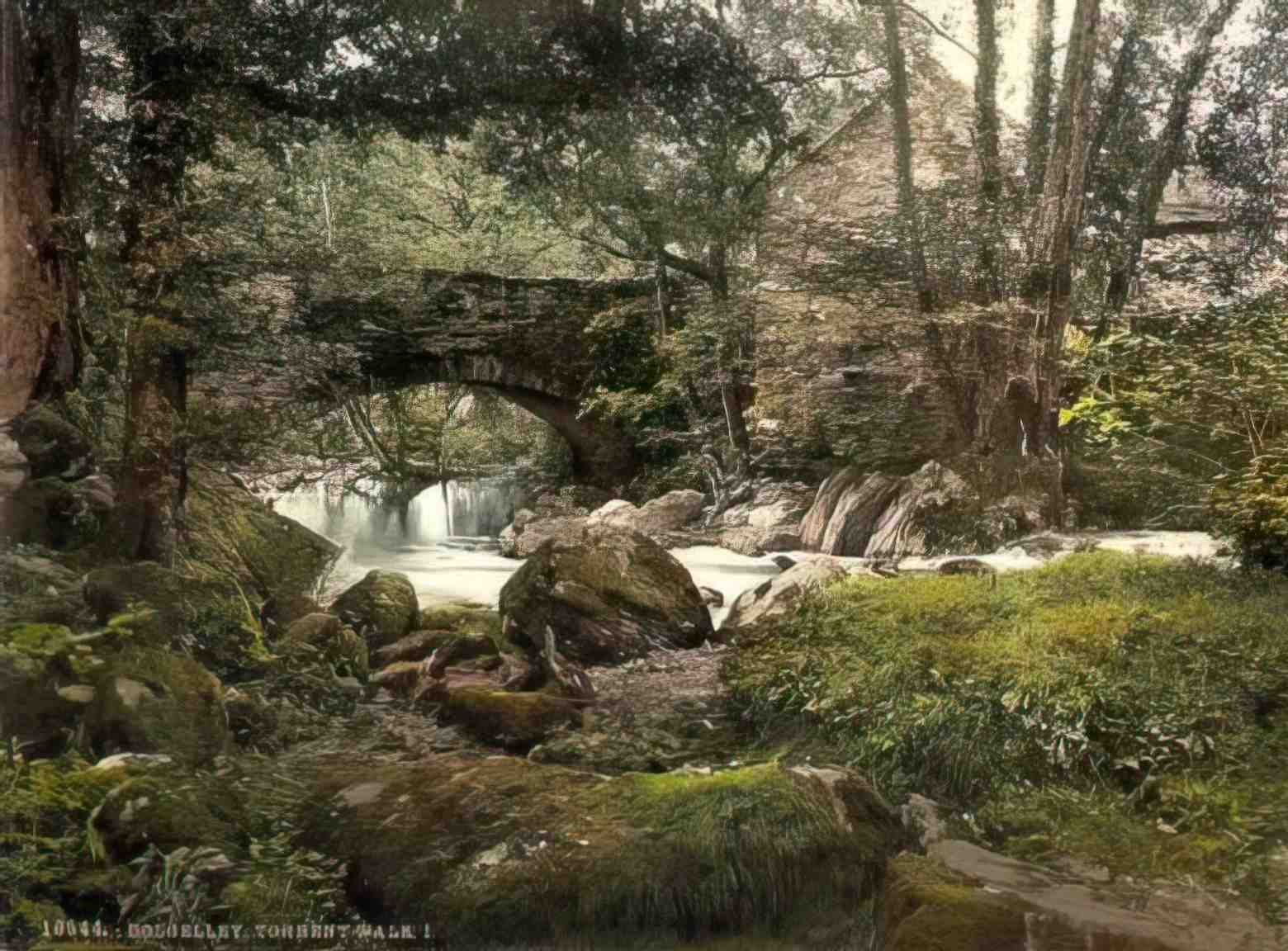 Merionethshire Dolgellau Torrent Walk Vintage A4 Photo Print