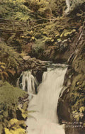 Merionethshire Dolgoch The Falls Vintage A4 Photo Print