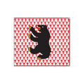 Meshkuichiai City Flag N6994 A4 Photo Print