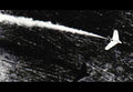 Messerschmitt Me163 Komet Rocket Powered Interceptor Aircraft Germany 30 A4 Photo Print