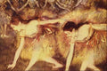 523072 Two Dancers Edgar Degas A4 Photo Print