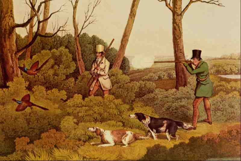 524074 Pheasant Shooting Henry Alken A4 Photo Print