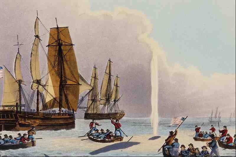524084 Boats Approaching A Whale Jh Clark A4 Photo Print
